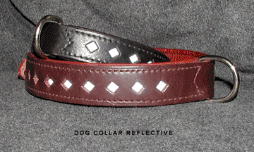 hundhalsband dog collar big star